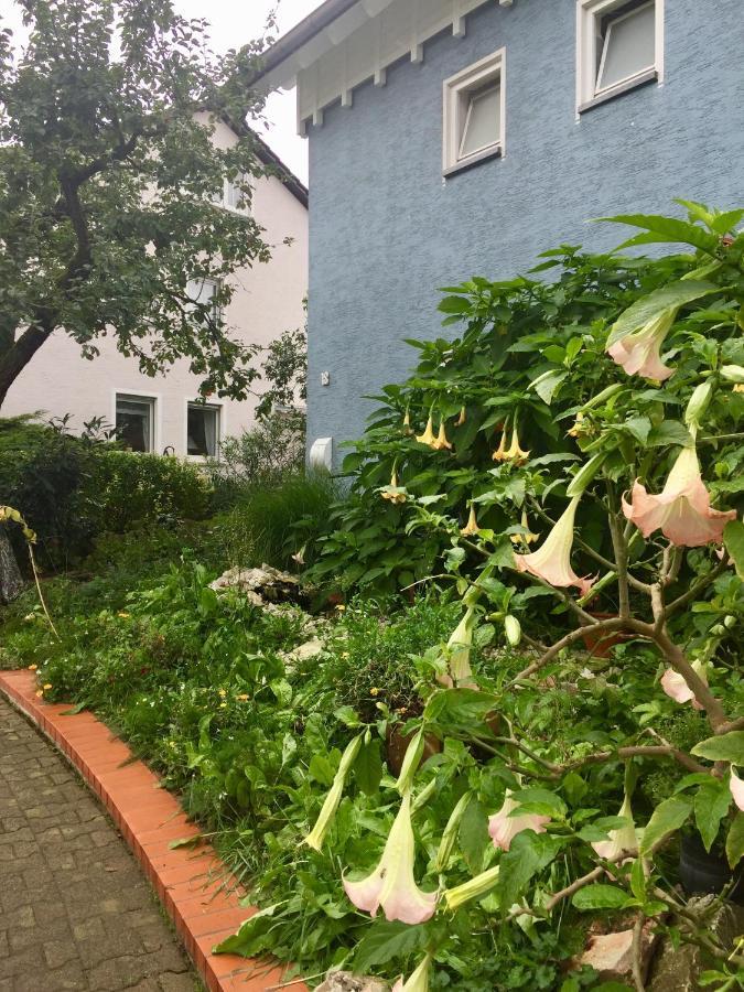 Blaues Haus Appartement Niederdorfelden Buitenkant foto
