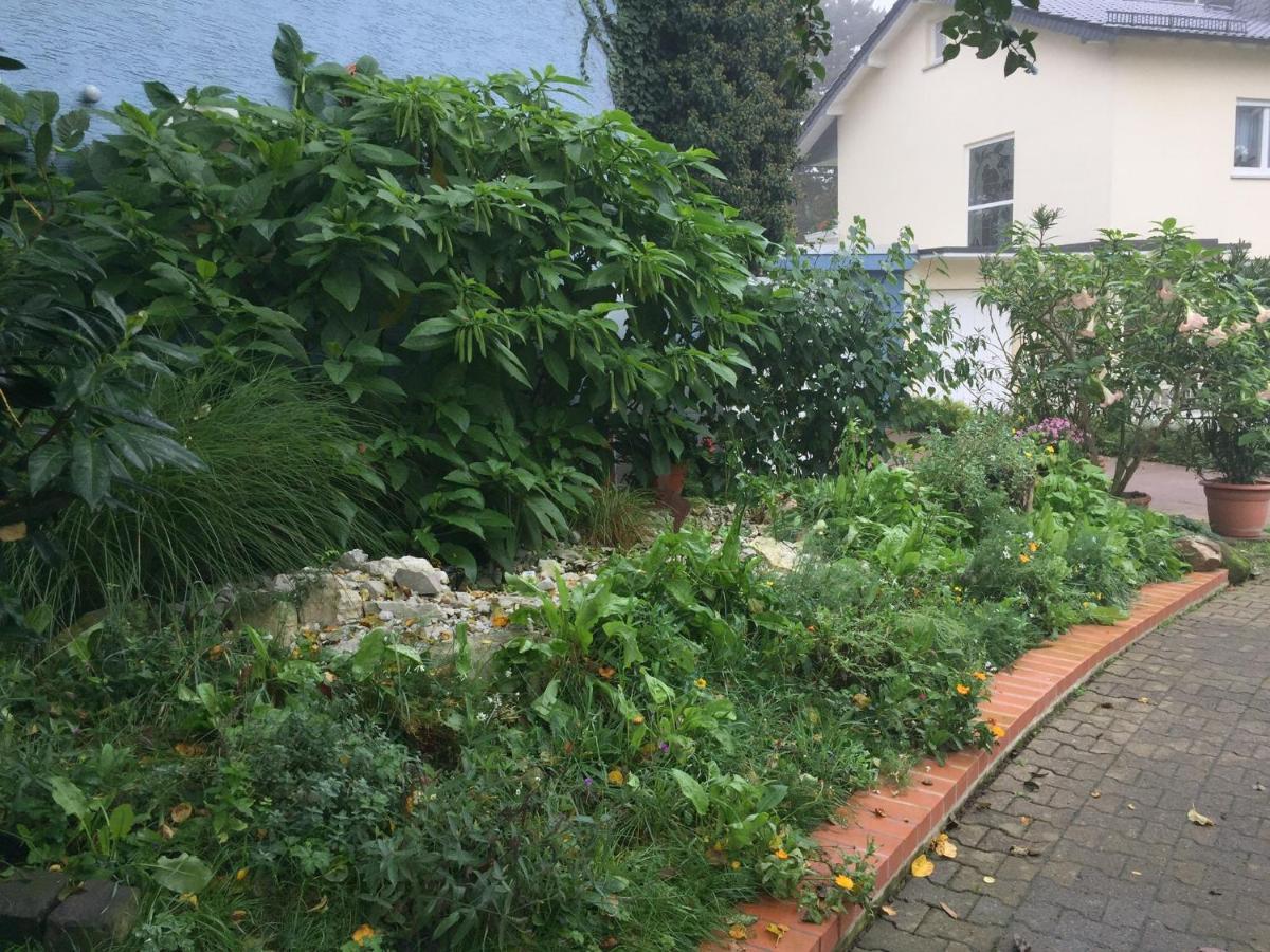 Blaues Haus Appartement Niederdorfelden Buitenkant foto
